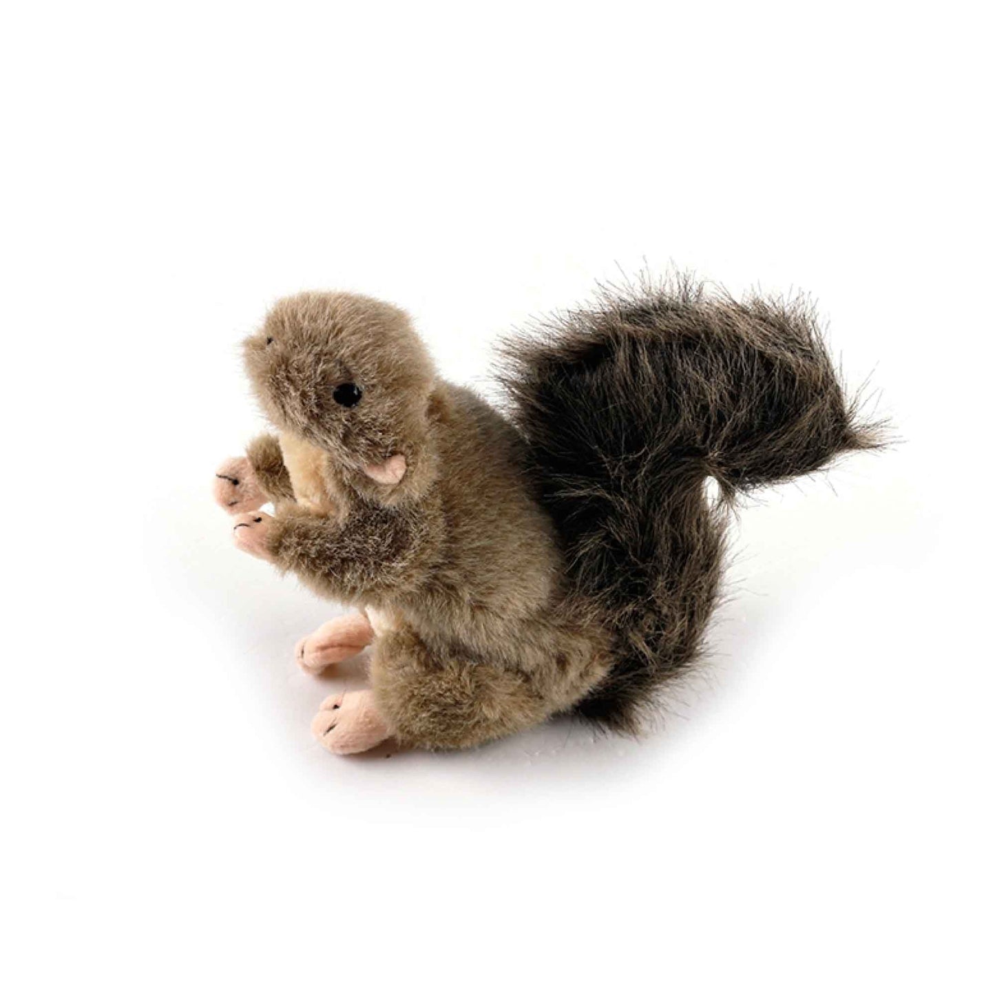 All For Paws Dog Squeaky Plush Toy Squirrel - Small