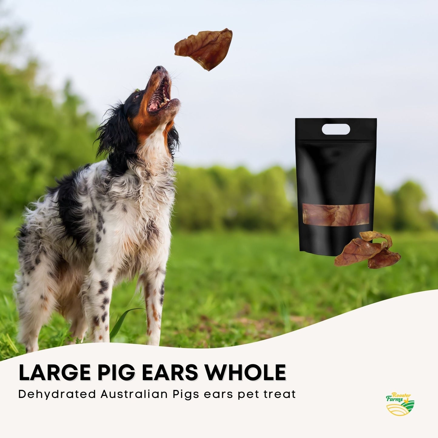 Rooster Farms Dog Treat Dehydrated Australian Large Pig Ears Whole - 25pc