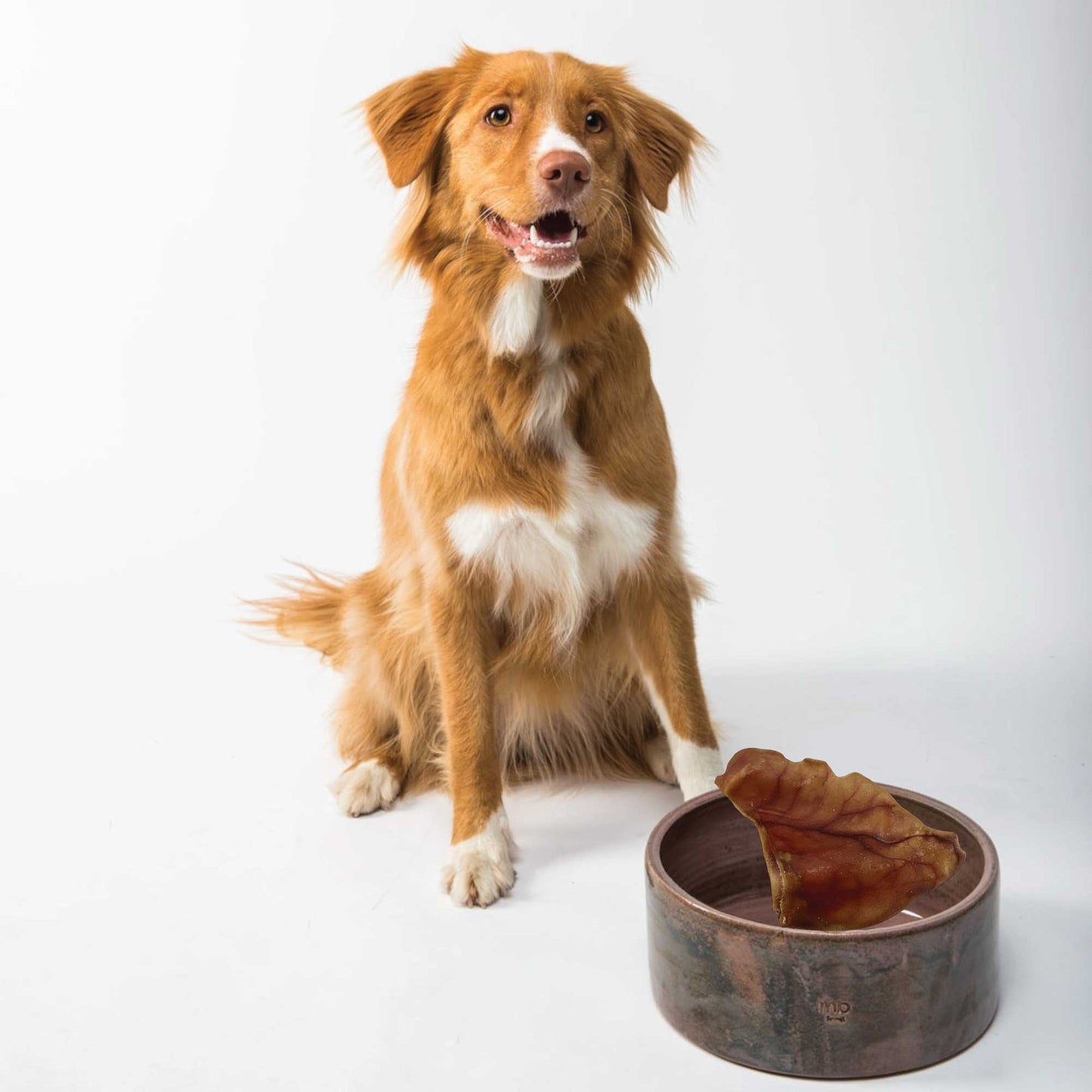 Rooster Farms Dog Treat Dehydrated Australian Large Pig Ears Whole - 25pc