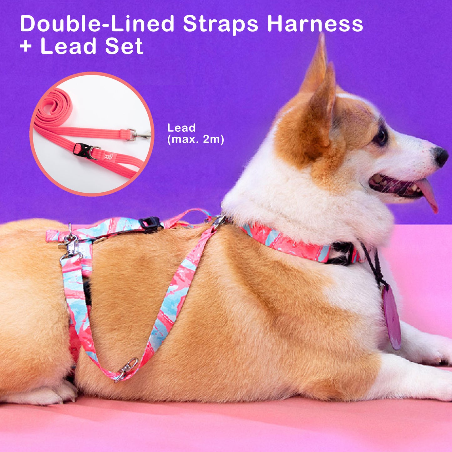 Banhamsisun Dog Double-Lined Straps No Pull Harness and Lead Set NEON CAROL-PINK - Large