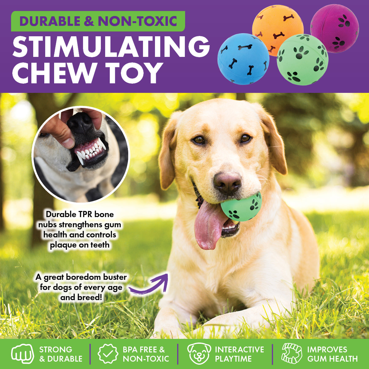 Pet Basic Rubber Fetch Balls Durable Paw & Bone Printed 5.7cm - 48PC