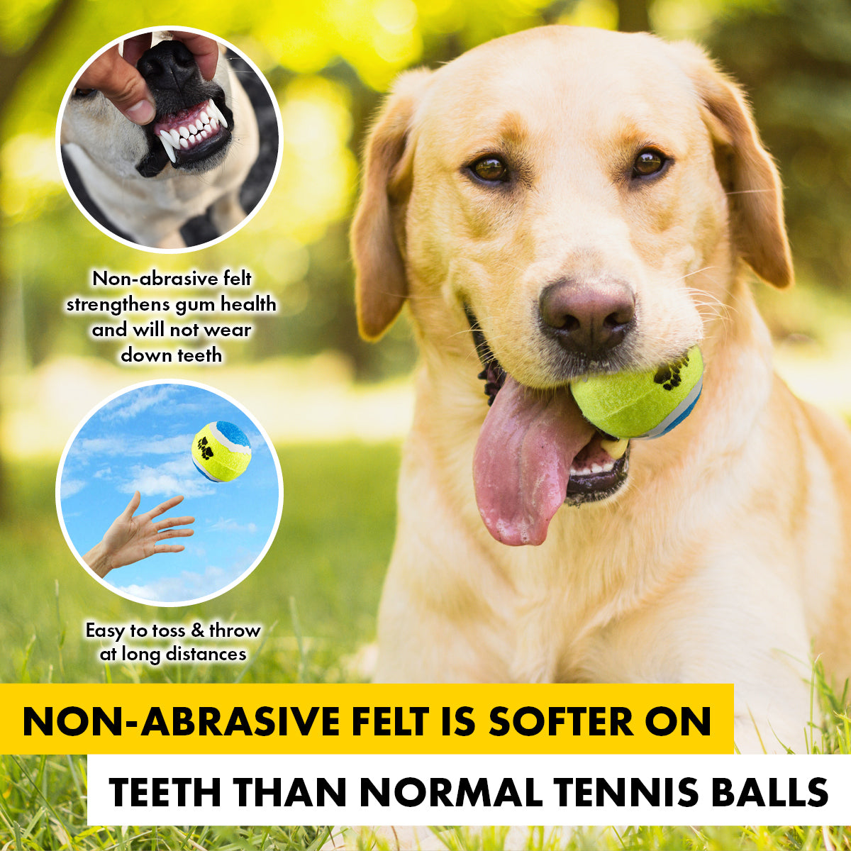 Pet Basic Tennis Fetch Balls Paw Print Non Abrasive Felt 6.5cm - 36PC