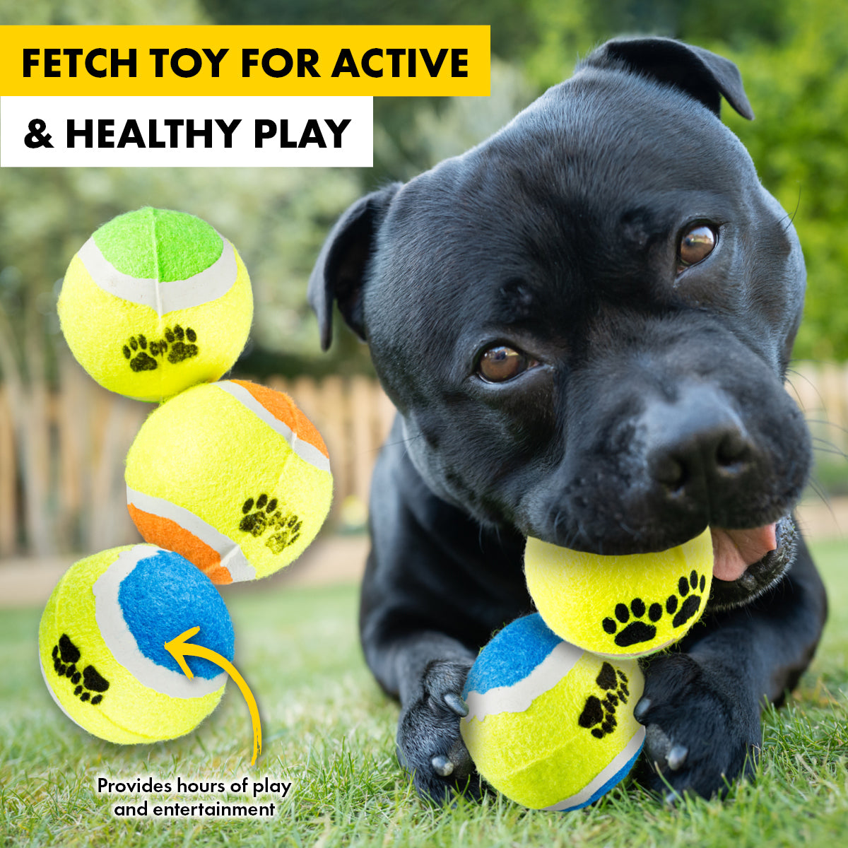 Pet Basic Tennis Fetch Balls Paw Print Non Abrasive Felt 6.5cm - 36PC