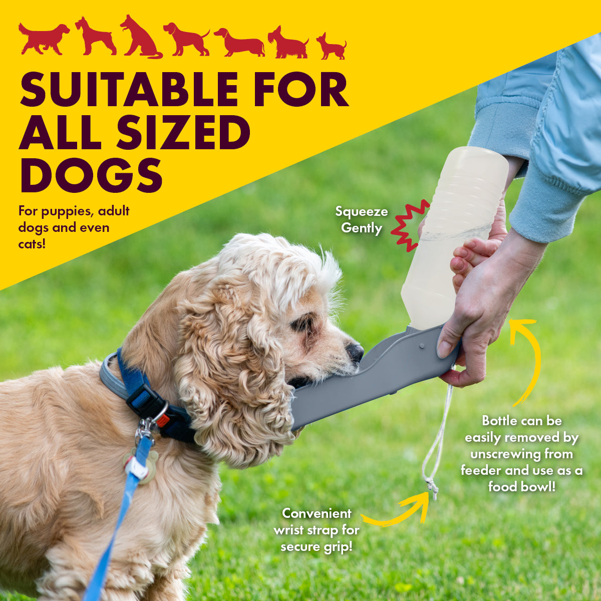 Pet Basic Portable Dog Drinking Bottle With Wrist Strap 500ml - 12PC