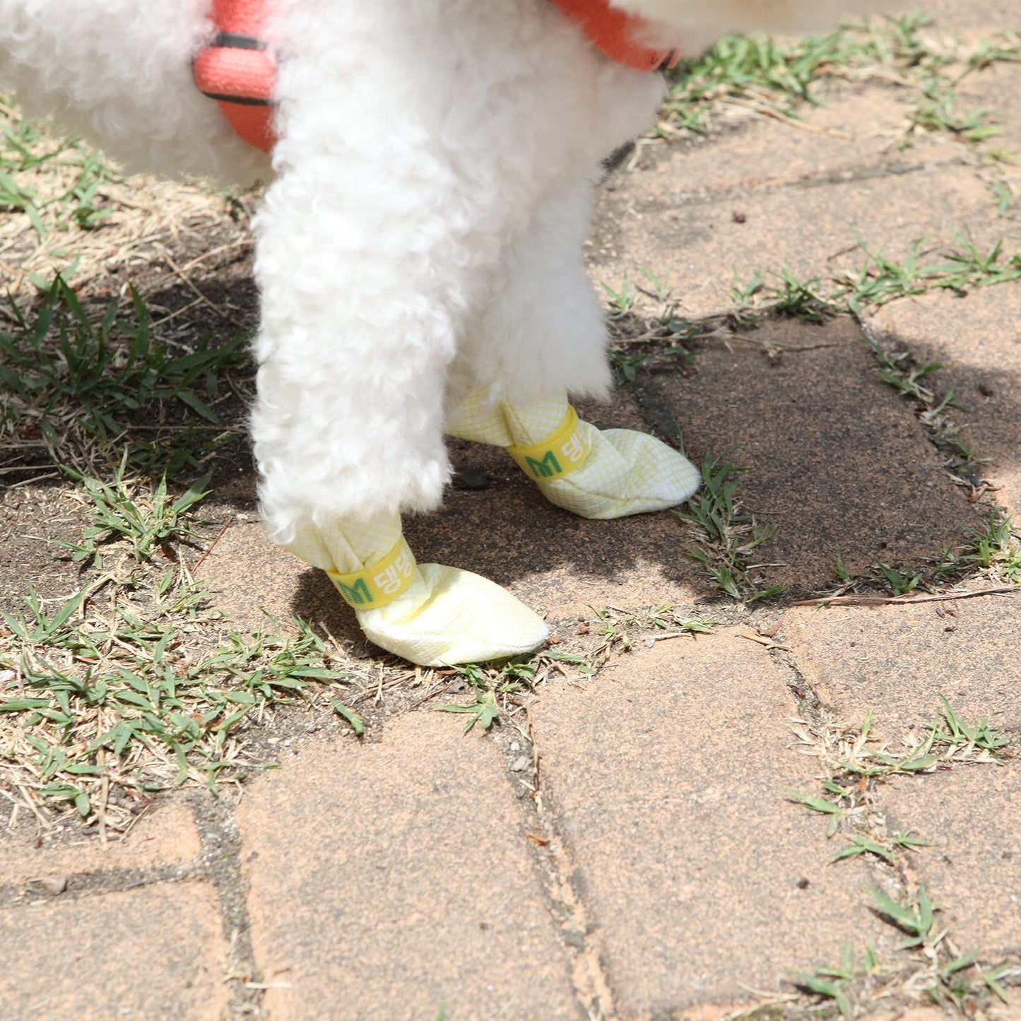 28pc Waterproof Anti-Slip Disposable Dog Shoes - Blue - Small