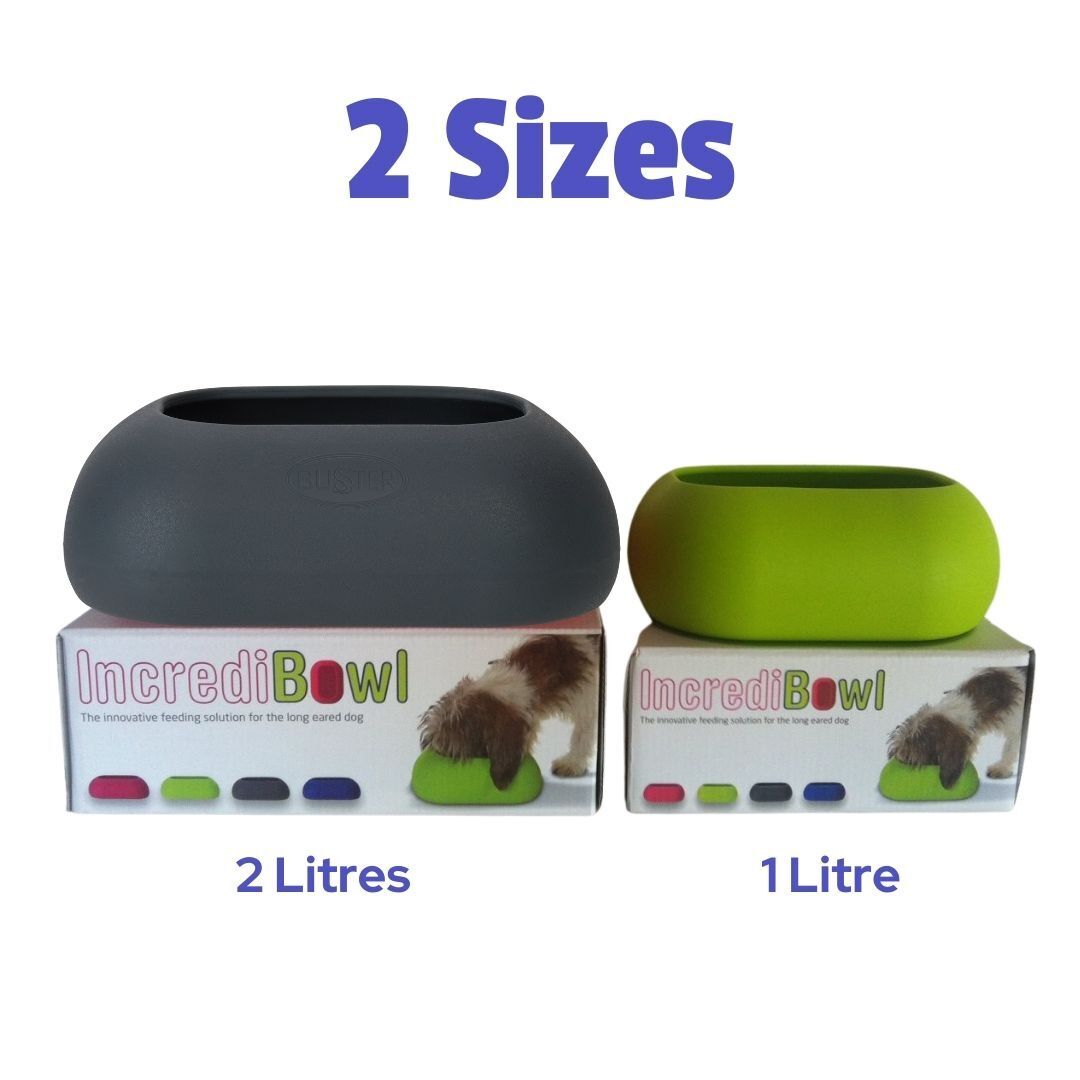 Buster IncrediBowl Wet and Dry Food Bowl for Long Eared Dogs - Large Green