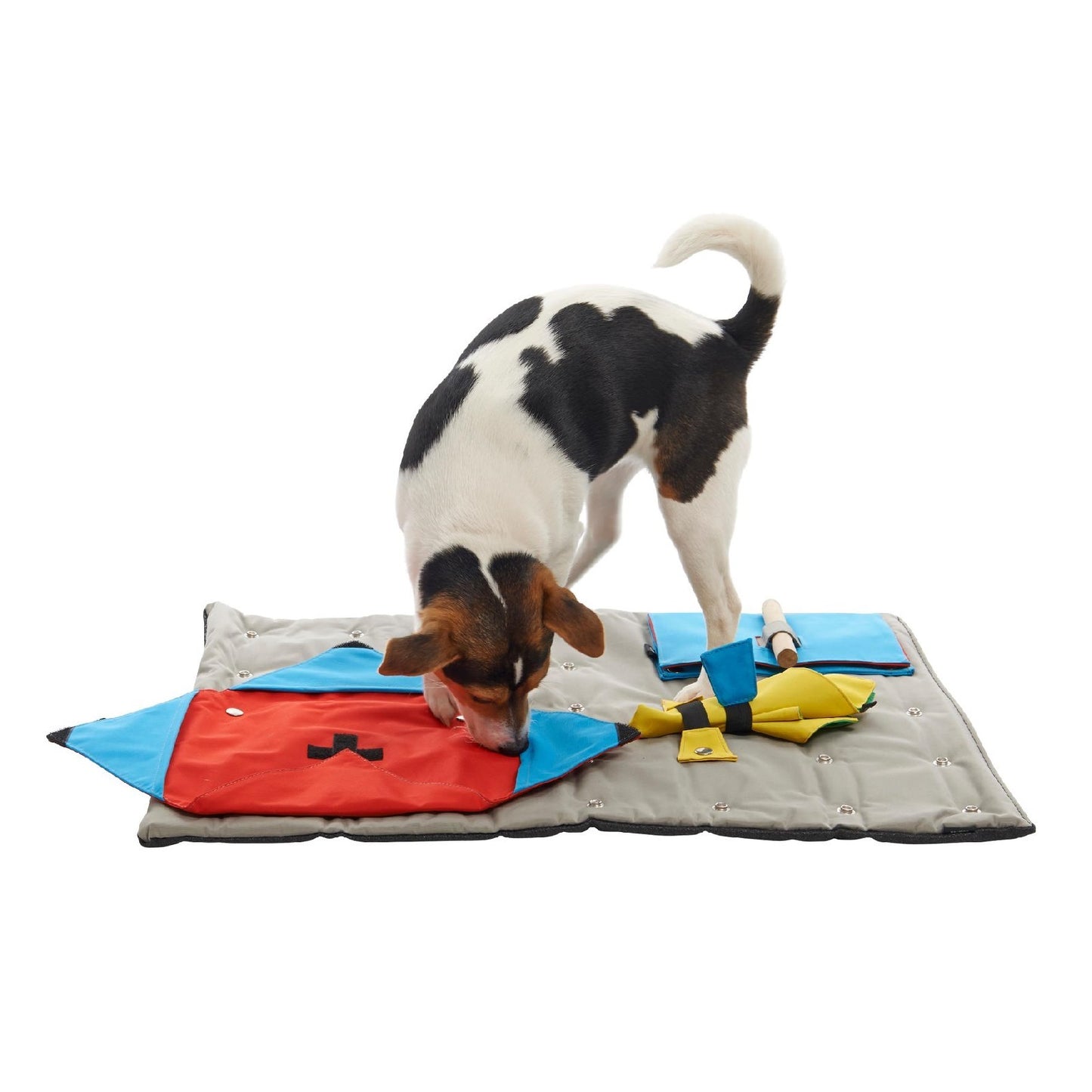 Buster Canvas Activity Snuffle Mat Starter Kit Interactive Dog Toy with 3 Activities Included