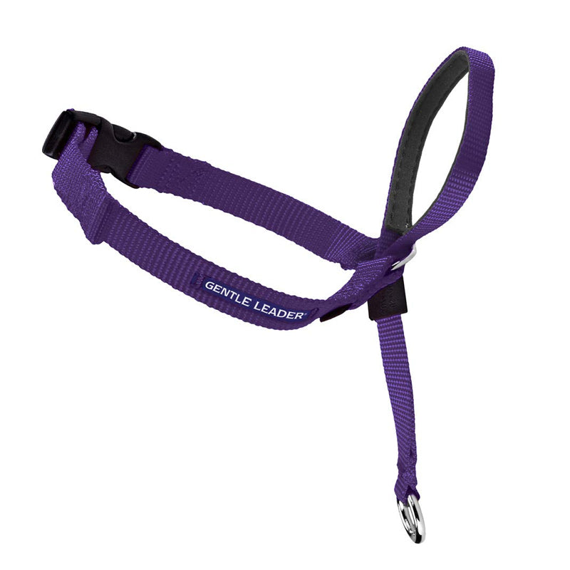 Beau Pets Gentle Leader Headcollar – Purple