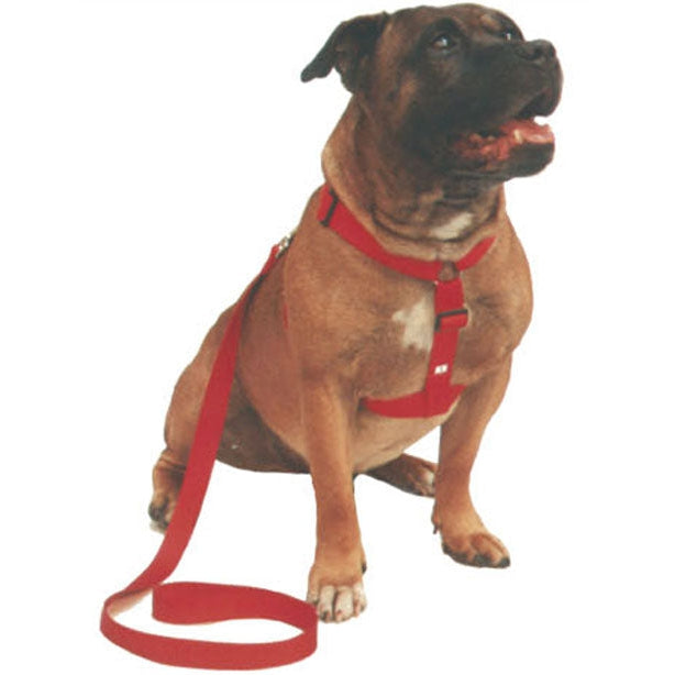 Beau Pets Walking Harness – Blue