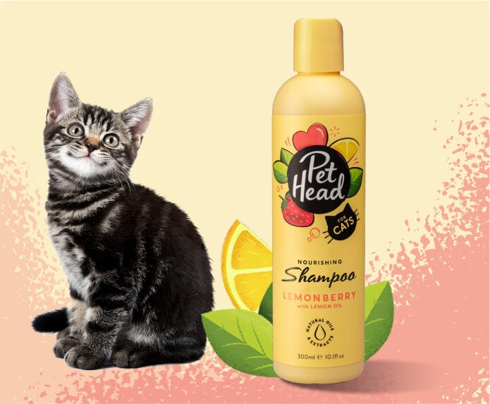 Pet Head Felin' Good - Nourishing Cat Shampoo - 300ml