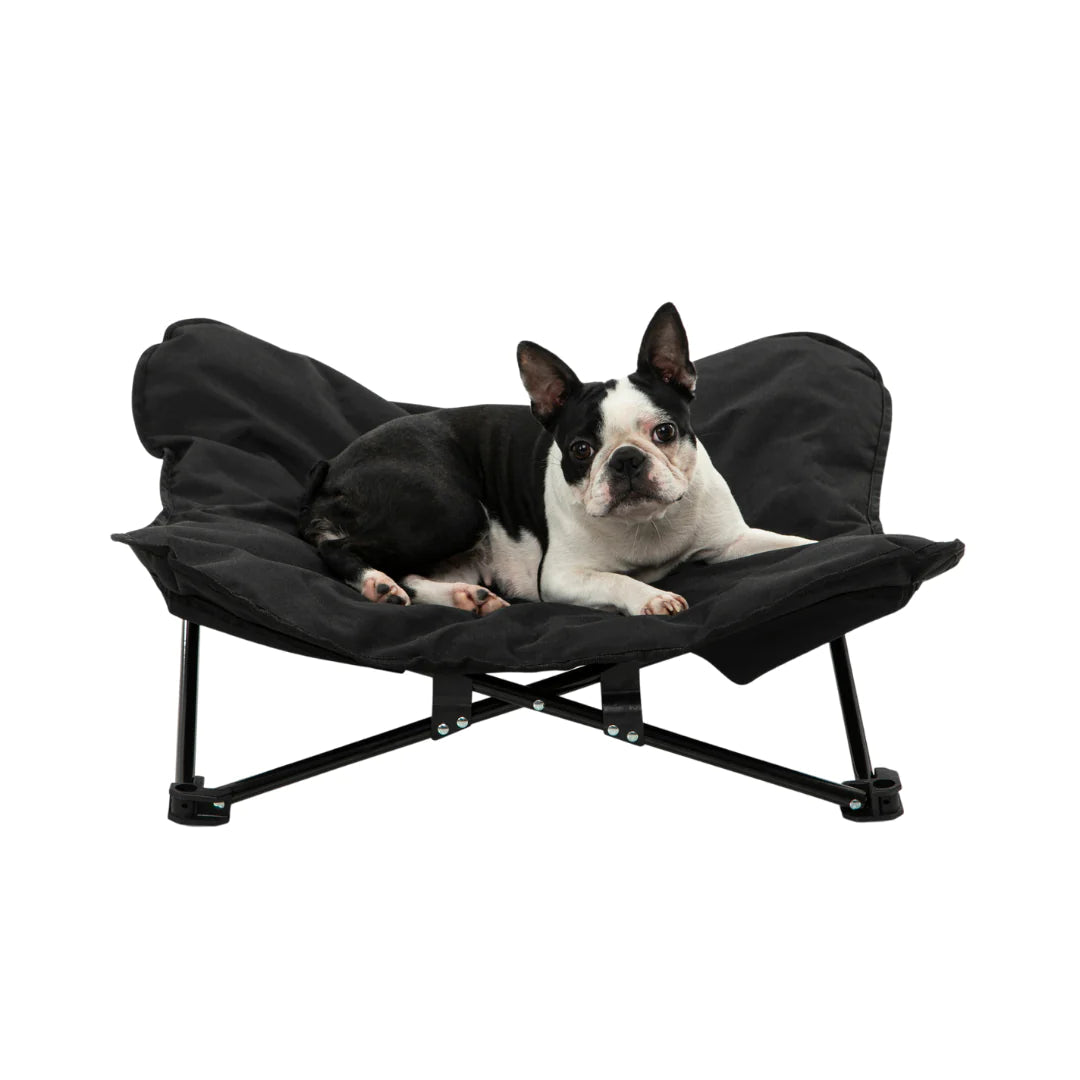 Charlie’s Outdoor Foldable Camping Pet Bed – Black