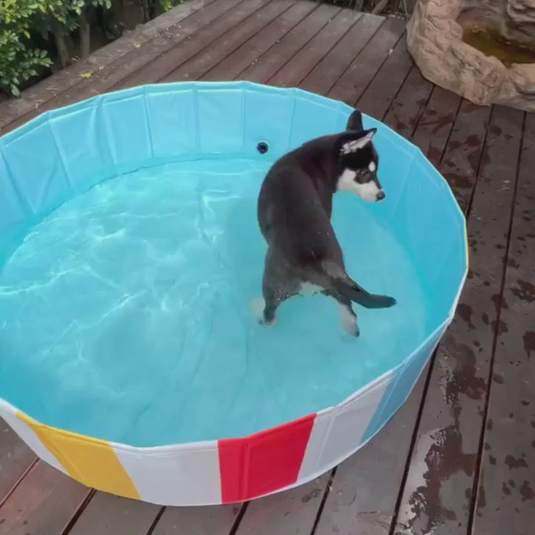 Charlie’s Portable Pet Pool – Beach Ball