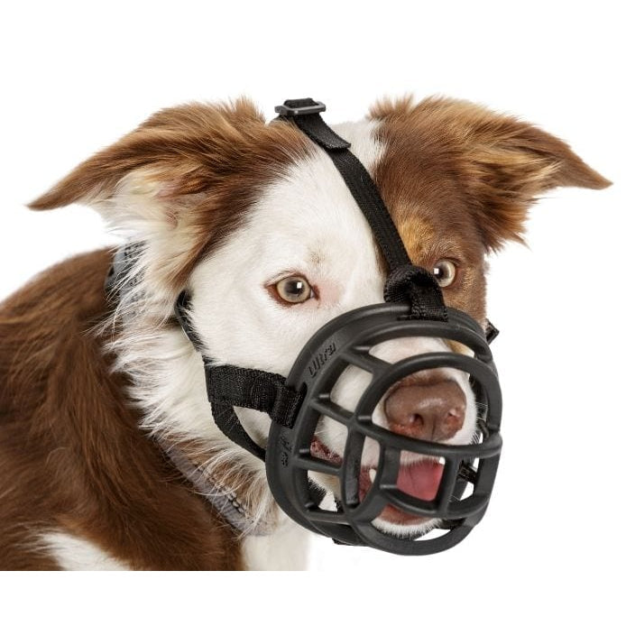 Company of Animals Baskerville Ultra Muzzle