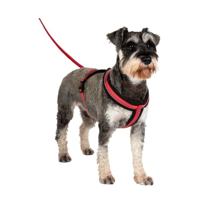 Company of Animals Halti Comfy Harness - Red