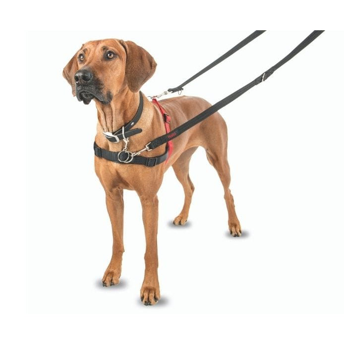 Company of Animals Halti – Front Control Harness Red/Black