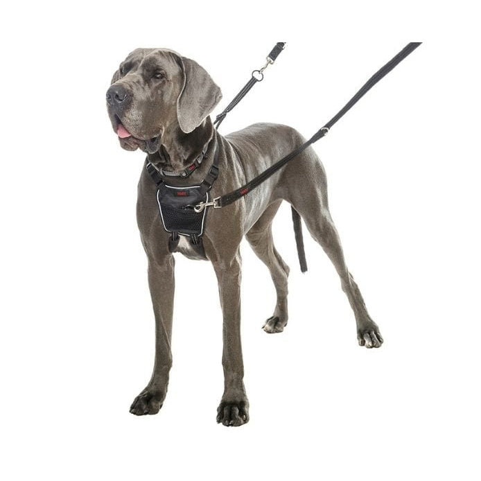 Company of Animals Halti No Pull Harness - Black