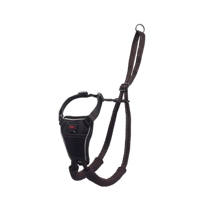 Company of Animals Halti No Pull Harness - Black