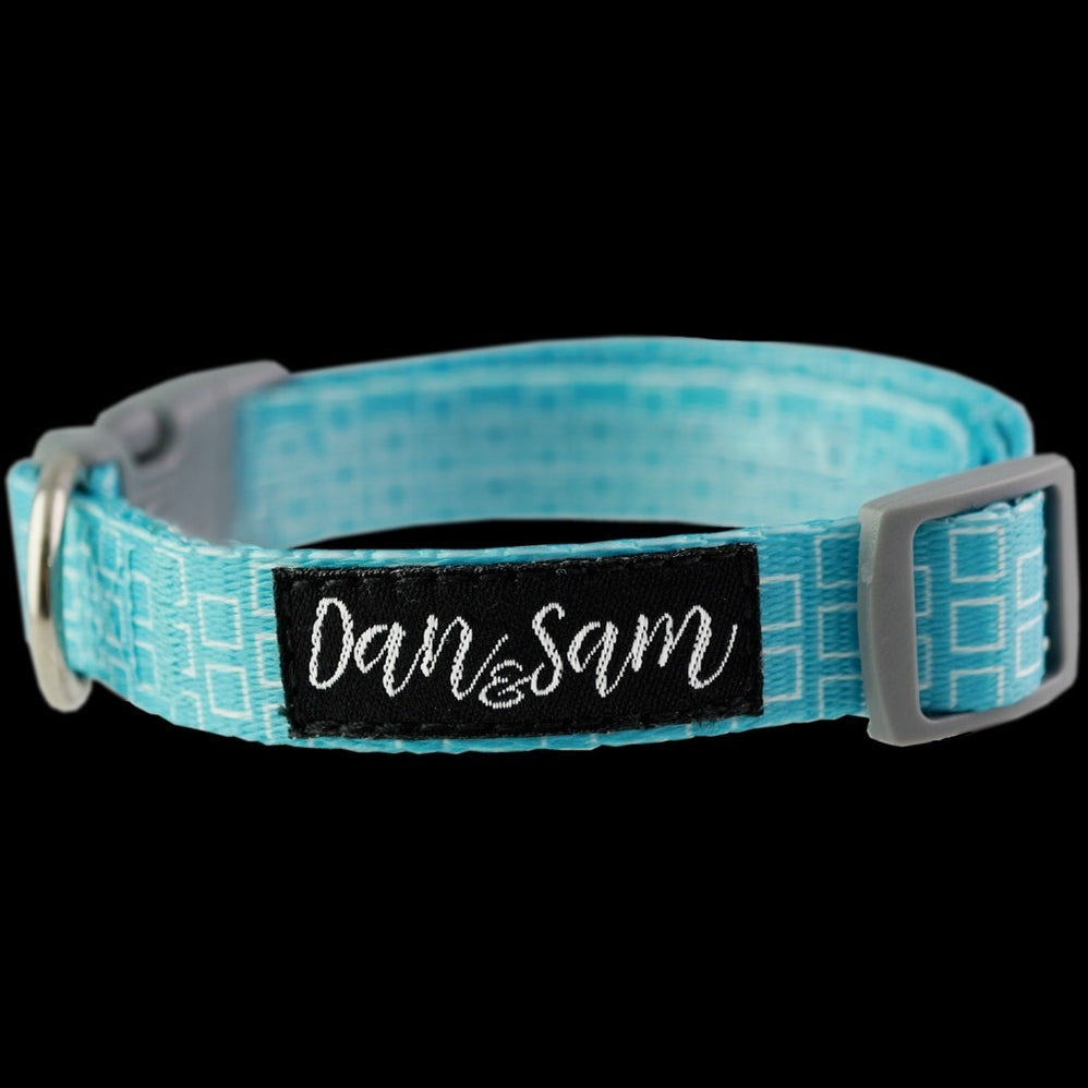 Dan & Sam Adjustable Polyester Dog Webbing Collar – Grooving