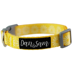 Dan & Sam Adjustable Polyester Dog Webbing Collar – Sunflower