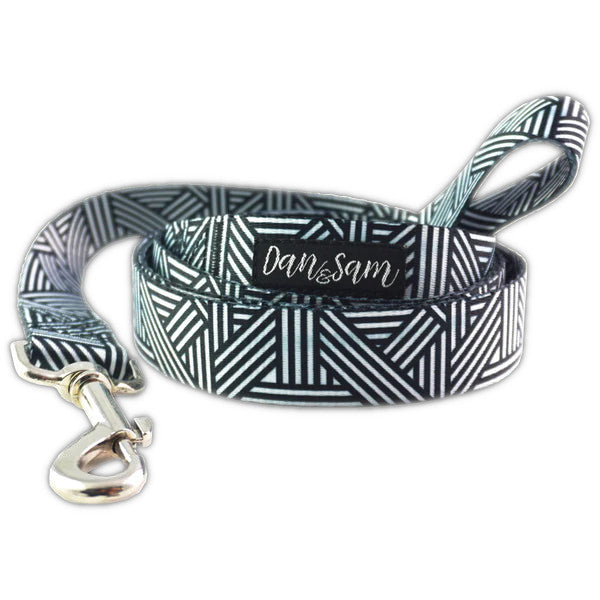 Dan & Sam Polyester Webbing Lead – Abstract