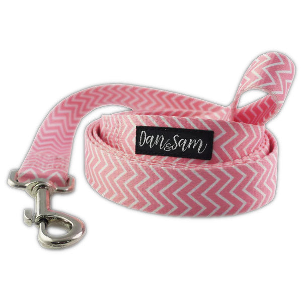 Dan & Sam Polyester Webbing Lead – Candy Floss