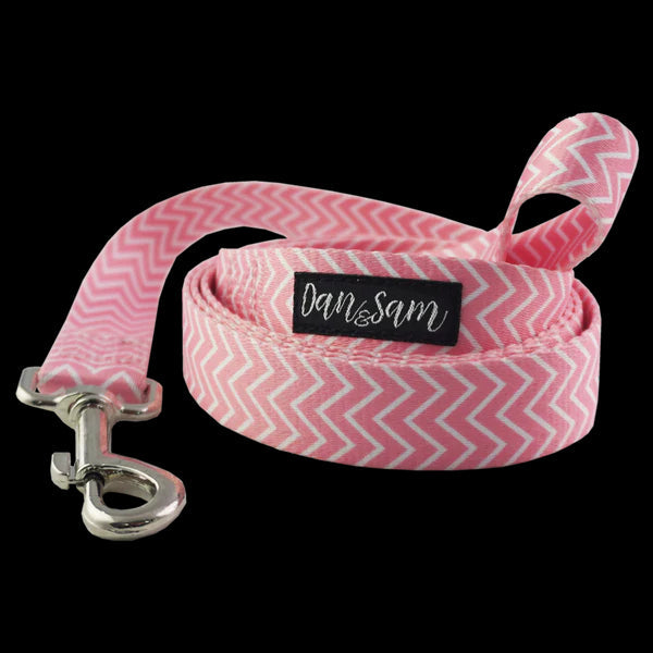 Dan & Sam Polyester Webbing Lead – Candy Floss