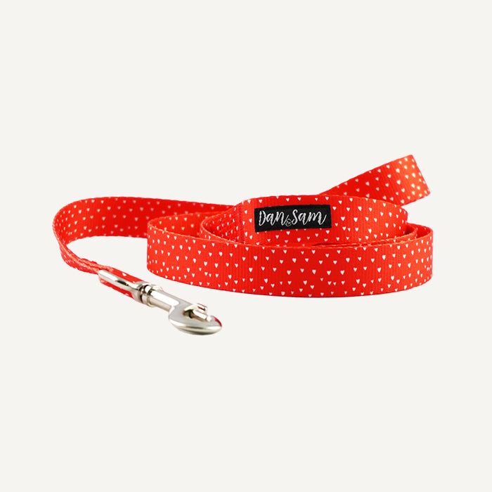 Dan & Sam Polyester Webbing Lead – Raining Hearts