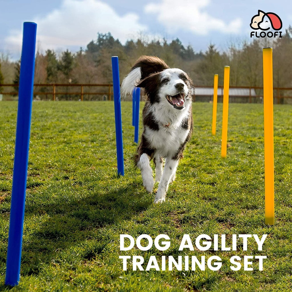 Floofi Dog Agility Training Set