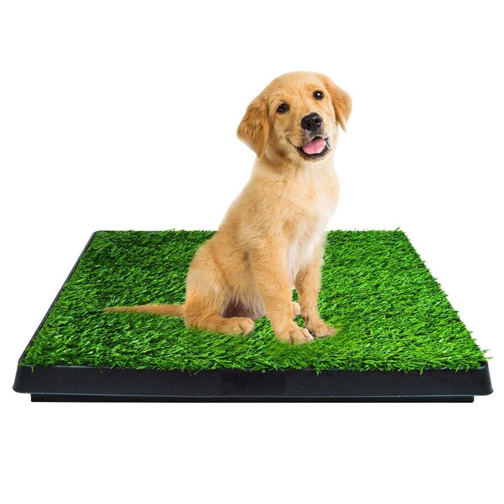 Floofi Pet Grass Training Potty and 2 Mats Set