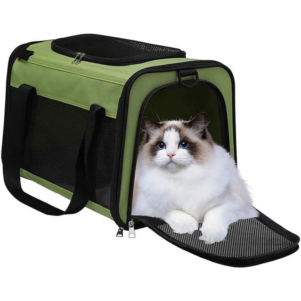 Floofi Portable Pet Carrier M Size (Green)