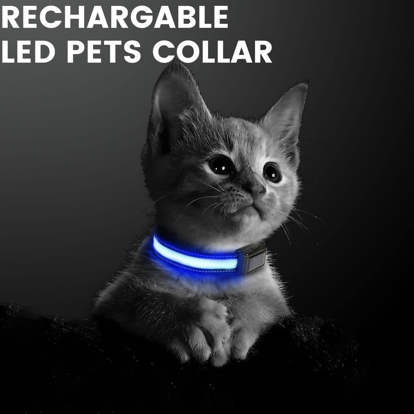 Floofi Solar USB Rechargeable LED Dog Collar (L Blue)