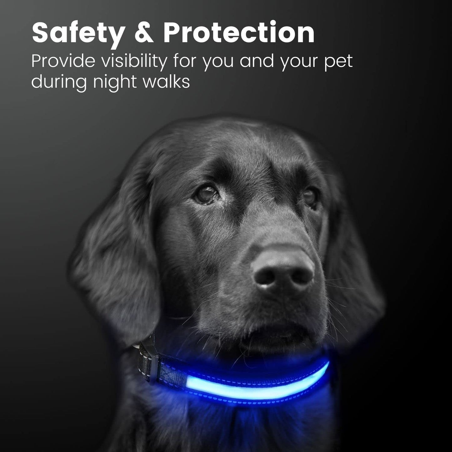 Floofi Solar USB Rechargeable LED Dog Collar (L Blue)