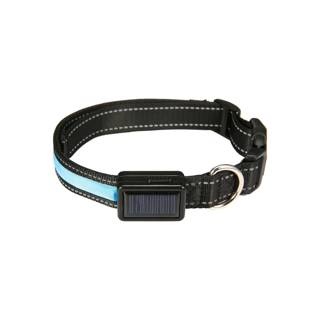 Floofi Solar USB Rechargeable LED Dog Collar (L Blue)