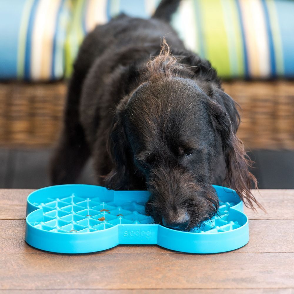 SloDog No Gulp Bone-Shaped Slow Food Plate for Cats & Dogs - Blue