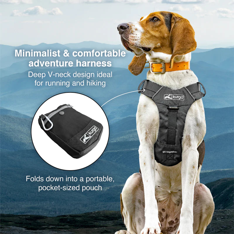 Kurgo Stash n’ Dash Harness