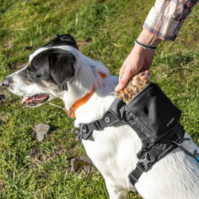 Kurgo Stash n’ Dash Harness