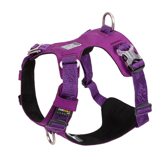 Lightweight Harness Purple 2XS