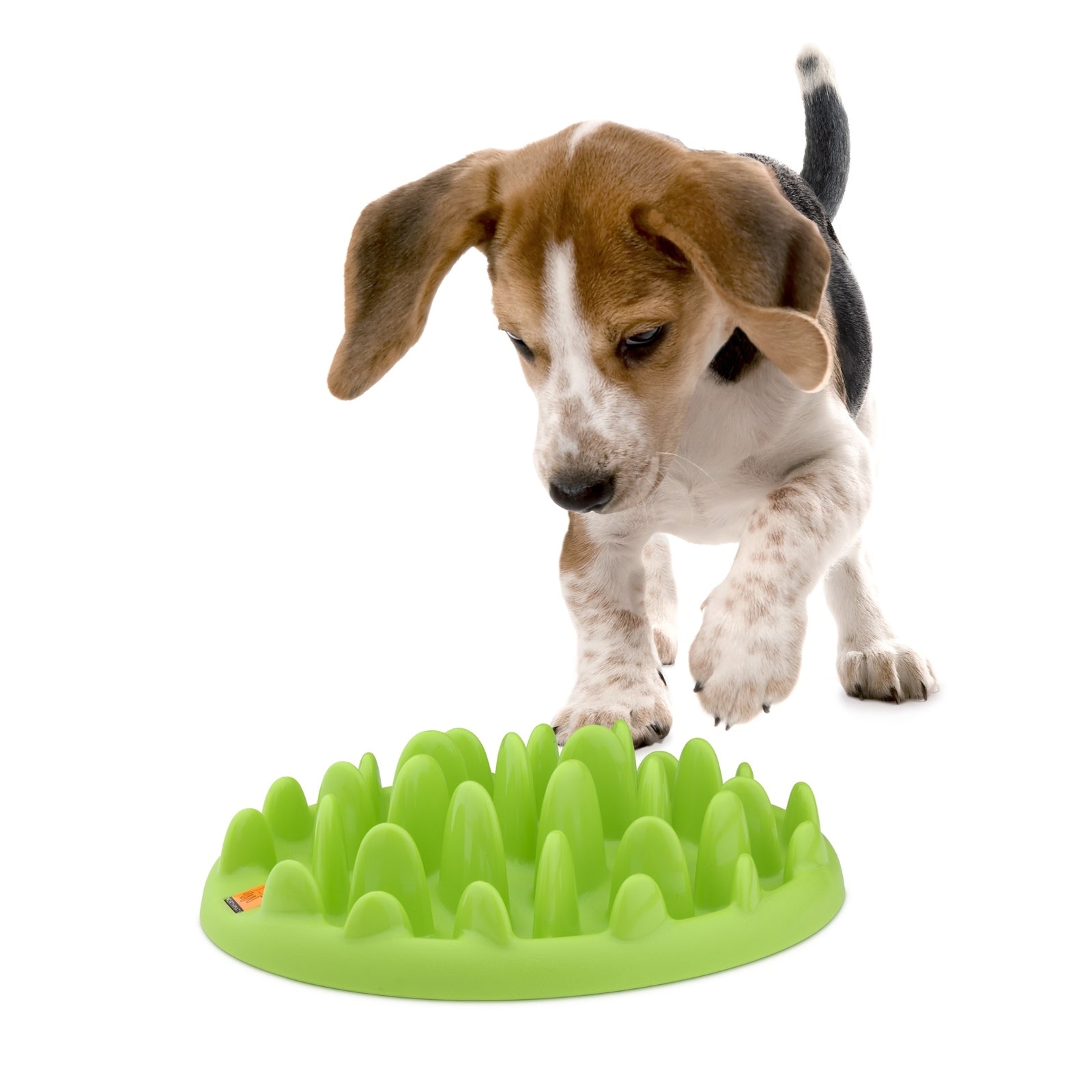 Northmate Green Mini For Dogs