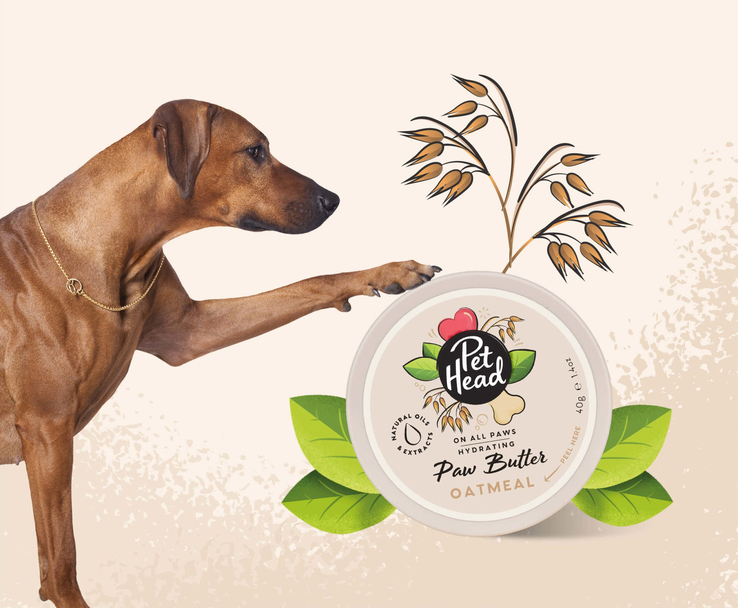 Pet Head On All Paws - Oatmeal Paw Butter - 60ml