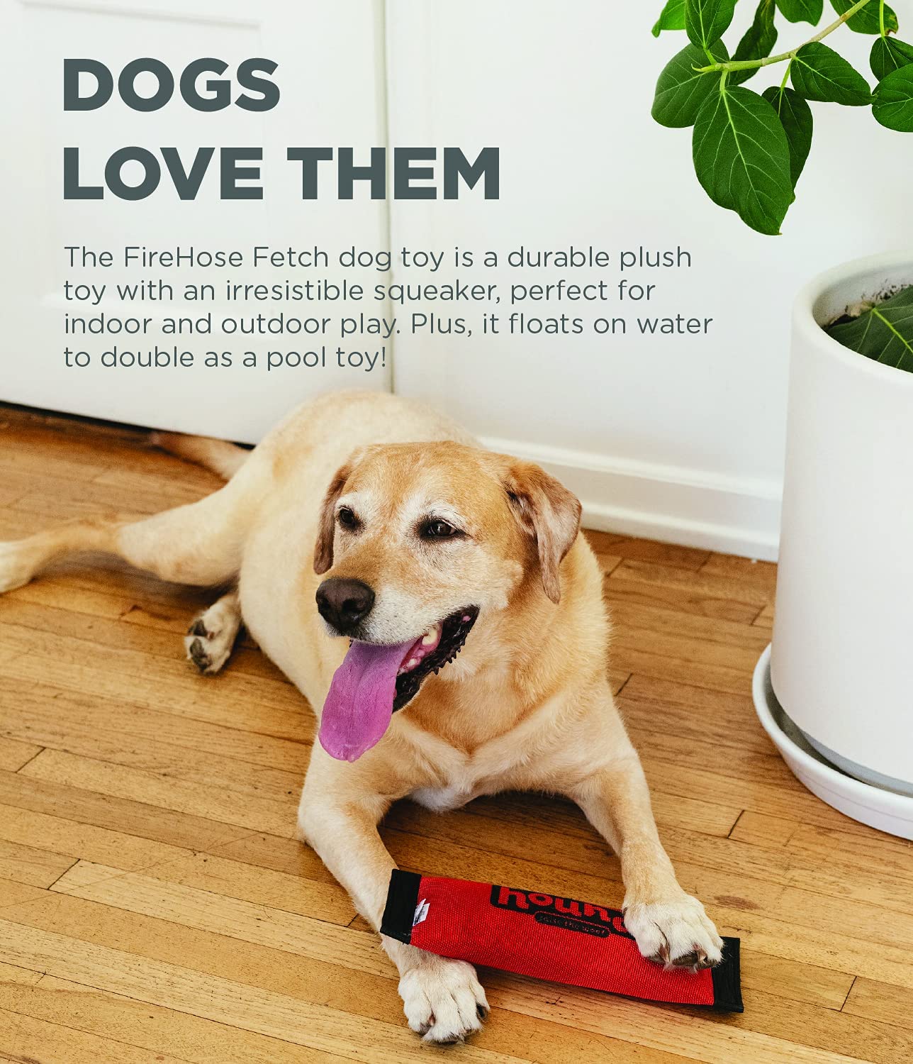 Outward Hound Firehose Fetch