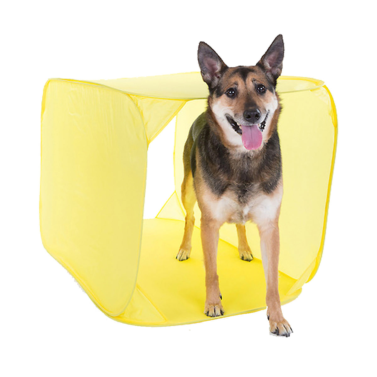 Outward Hound ZipZoom Agility Kit Indoor