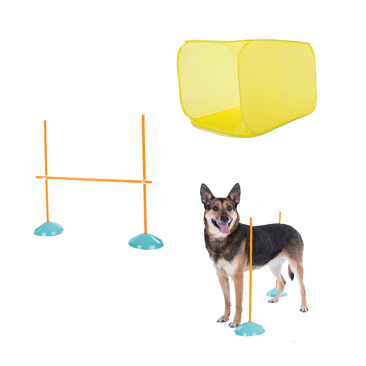 Outward Hound ZipZoom Agility Kit Indoor