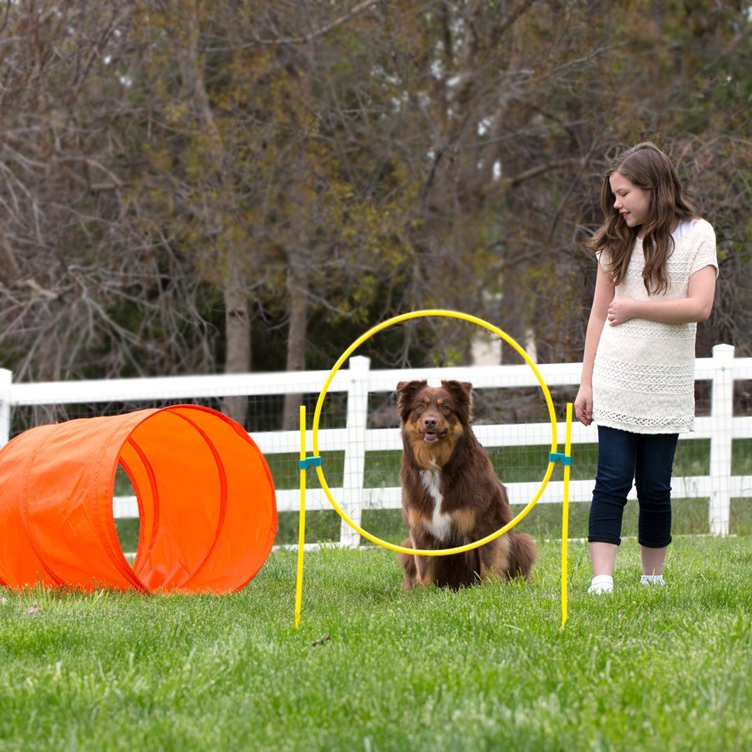 Outward Hound ZipZoom Agility Kit Outdoor