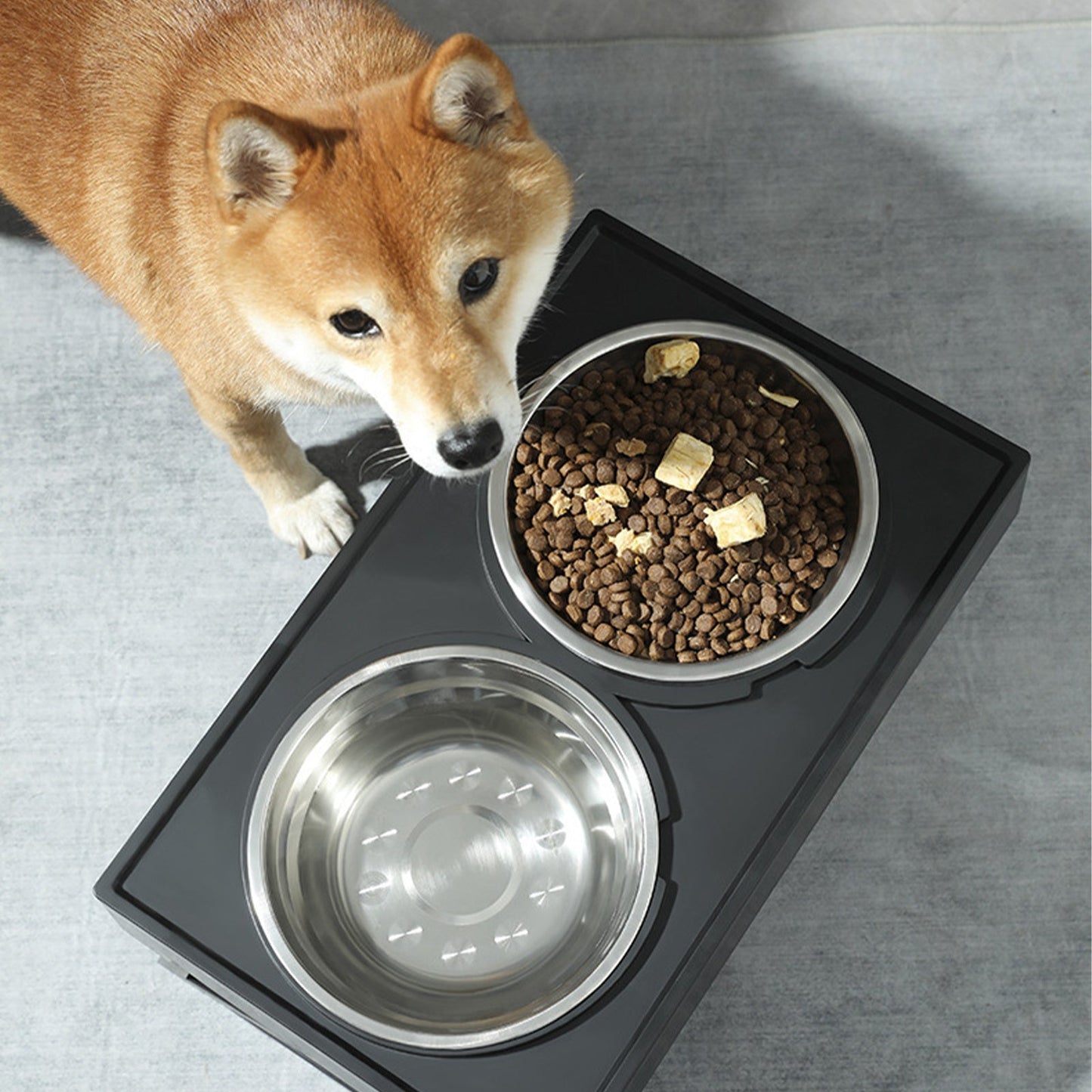 Pawfriends Adjustable Height Stand and 2x Stainless Steel Bowls