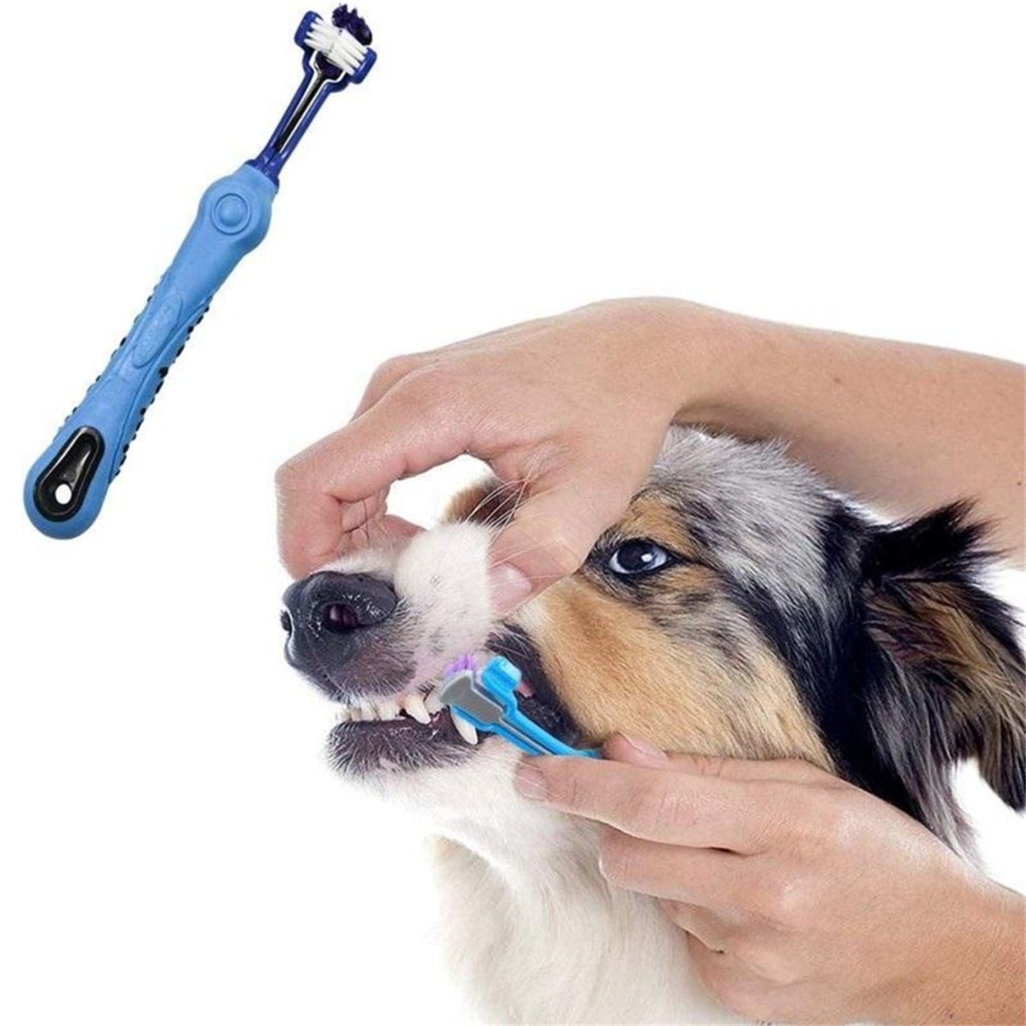 Pawfriends Pet Three-Head Multi-Angle Toothbrush Blue