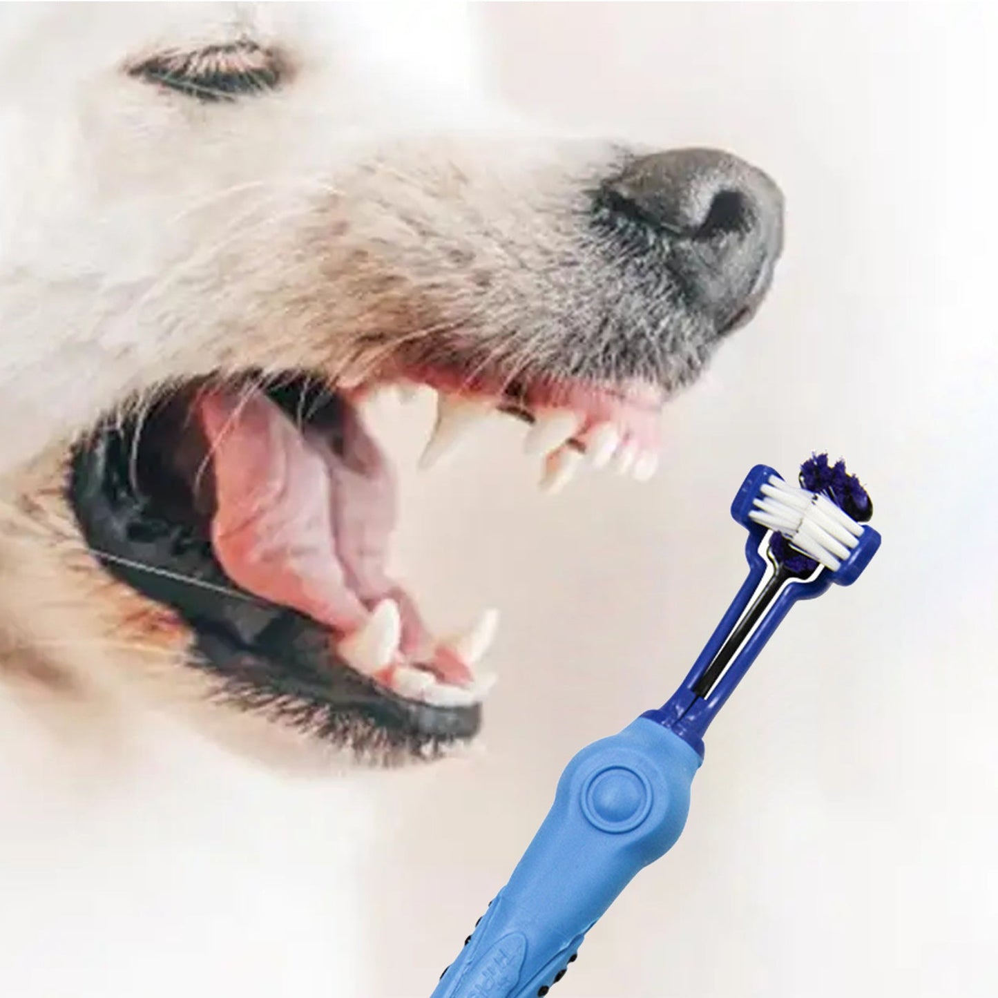 Pawfriends Pet Three-Head Multi-Angle Toothbrush Blue