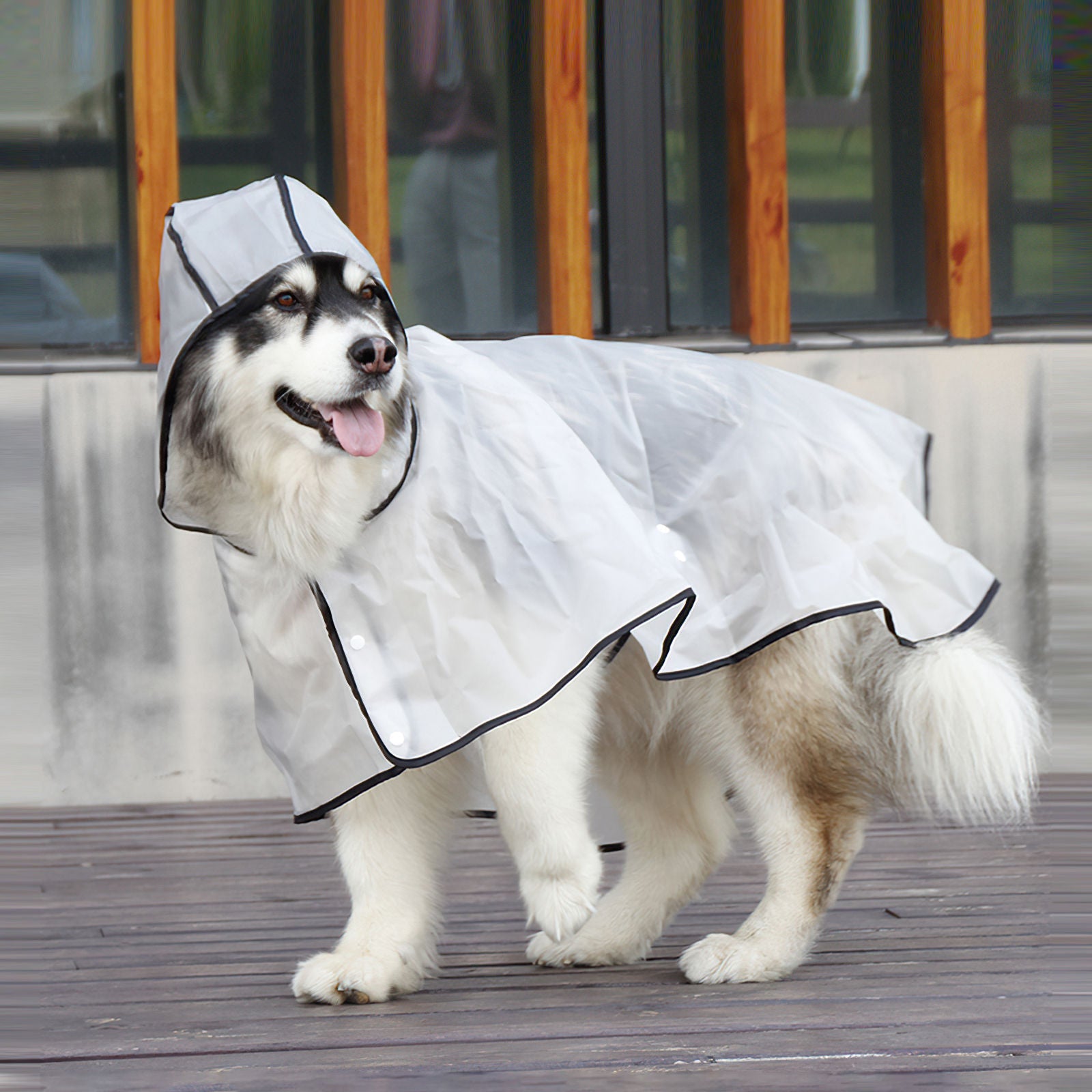 Pawfriends TPU Transparent Pet Cape Raincoat 8XL