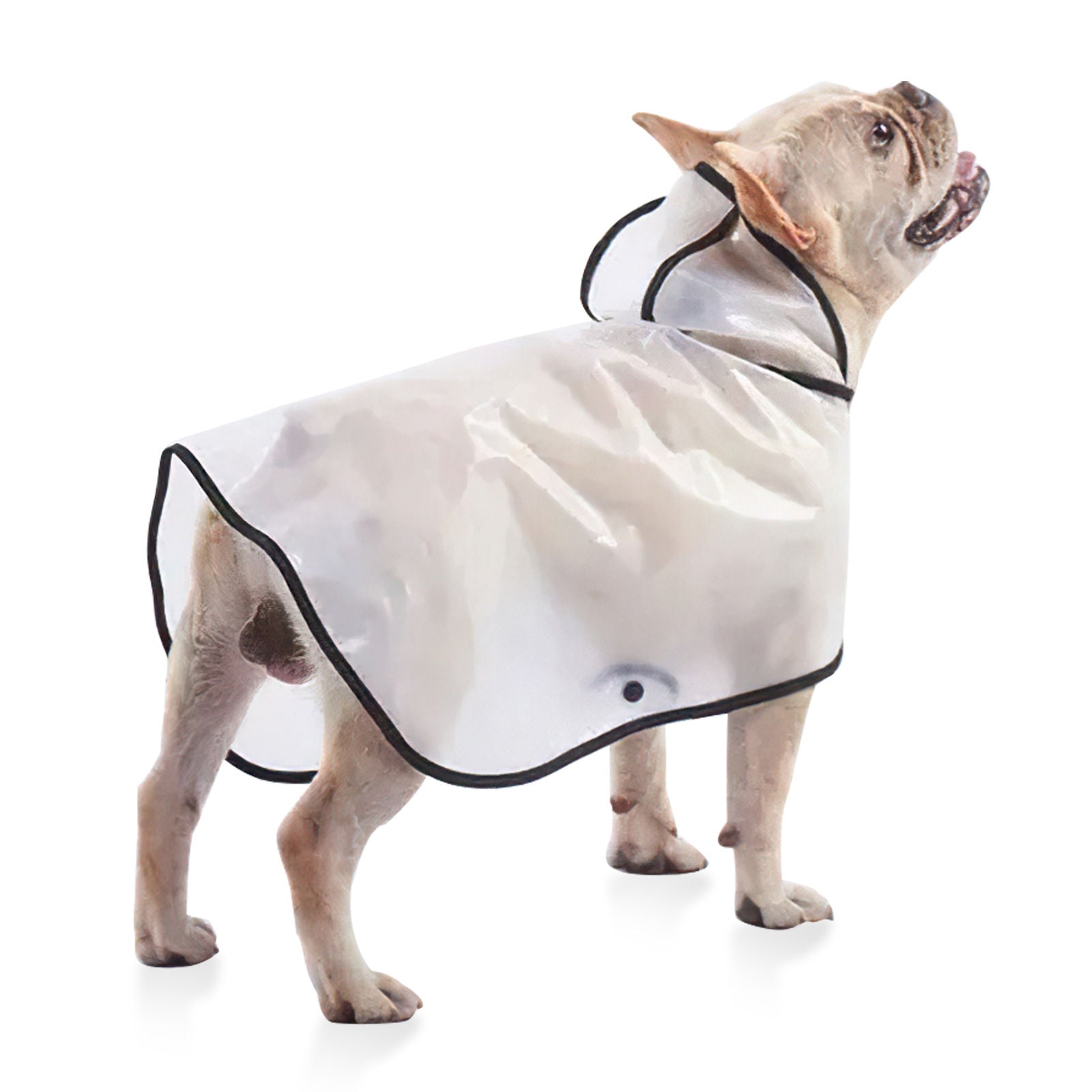 Pawfriends TPU Transparent Pet Cape Raincoat 8XL