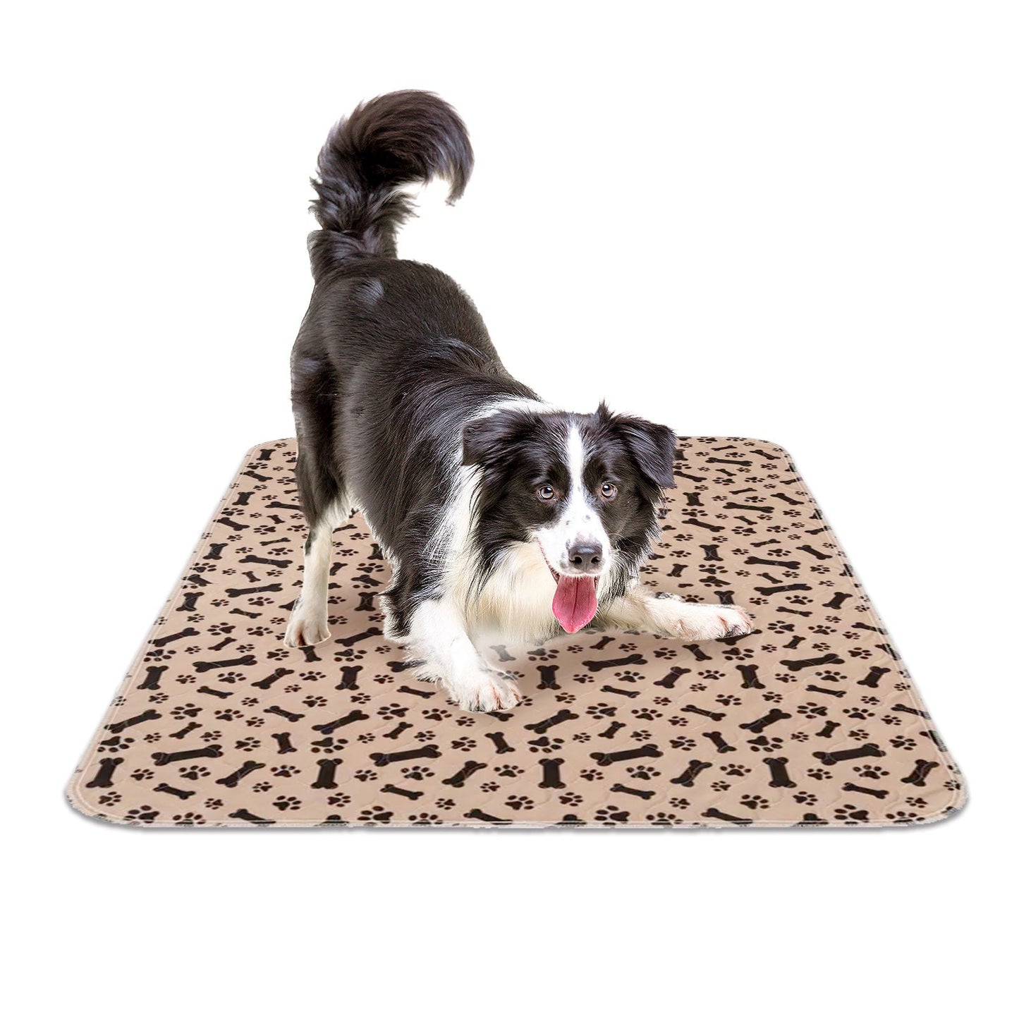 Pawfriends Washable Pet Pee Pad Reusable - Coffee M 40x60