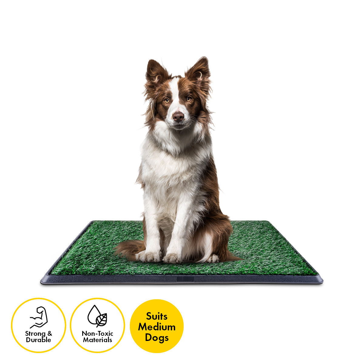 Pet Basic Odour Resistant Dog Potty Trainer 3 Layer System 76 x 50cm